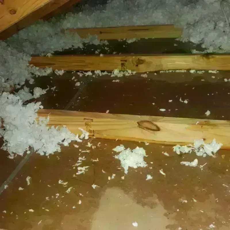 Attic Water Damage in Henagar, AL